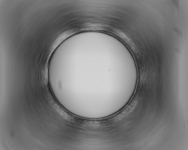 X0000112171370200908281330