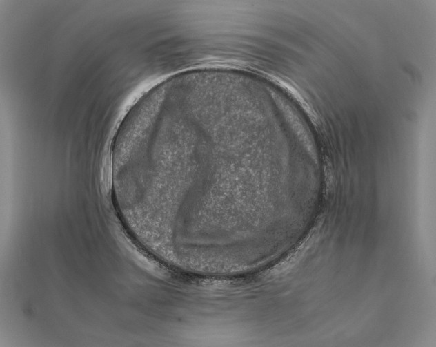 X0000112171371200908281330