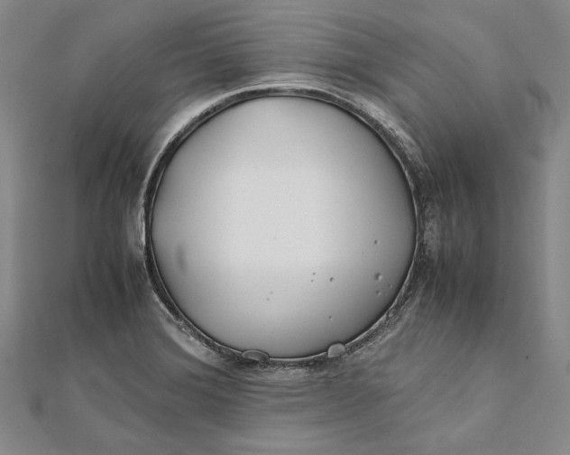 X0000112171372200908281330