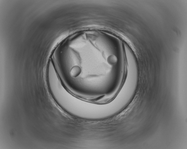 X0000112171373200908281330