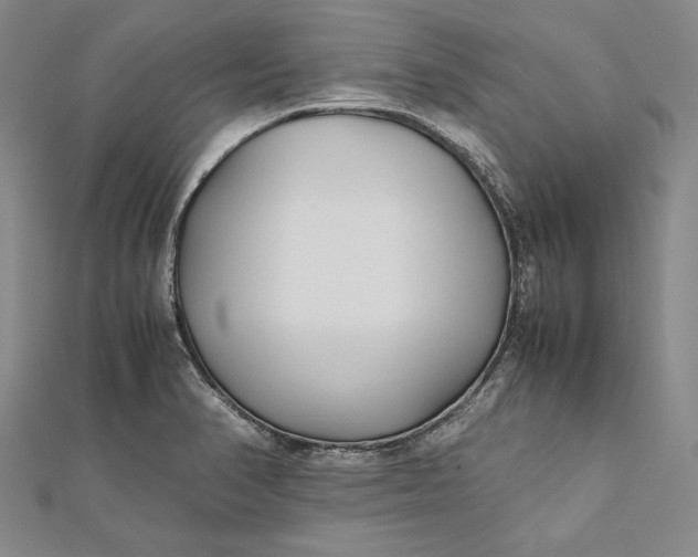 X0000112171374200908281330