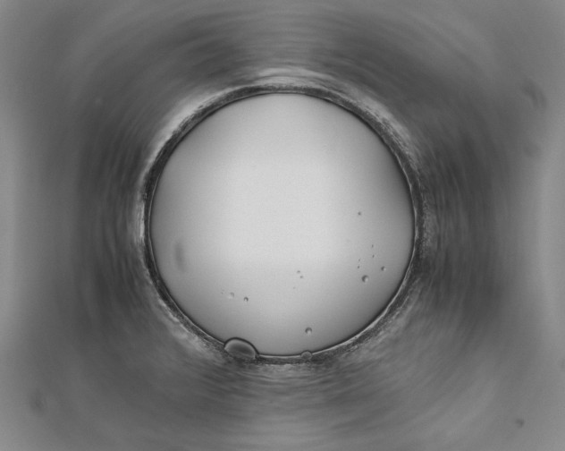 X0000112171376200908281330