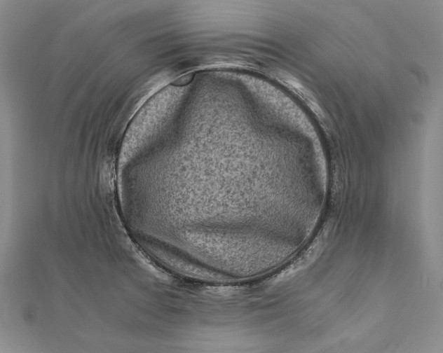 X0000112171377200908281330