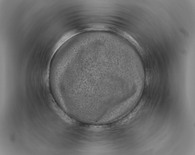 X0000112171378200908281330