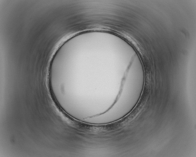 X0000112171379200908281330