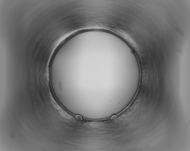 X0000112171380200908281330