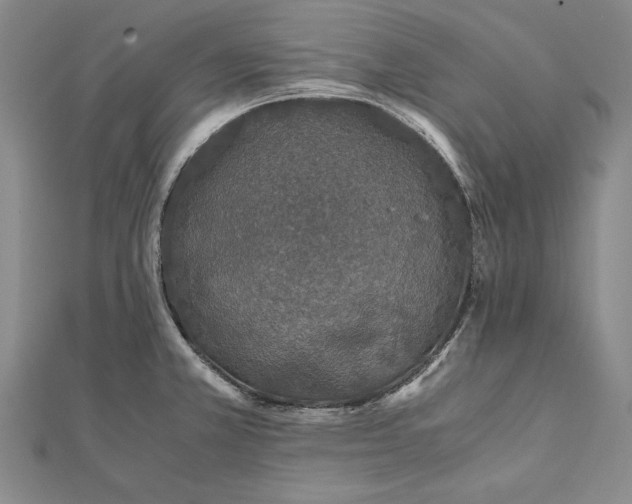 X0000112171381200908281330