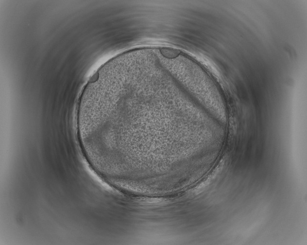 X0000112171382200908281330