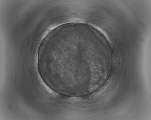 X0000112171383200908281330