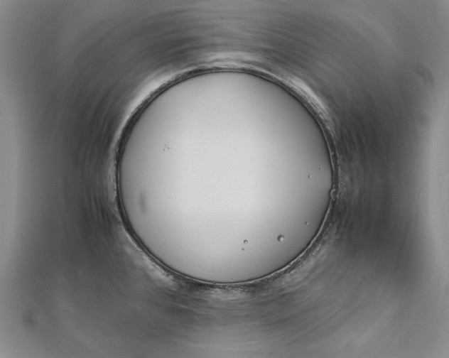 X0000112171384200908281330