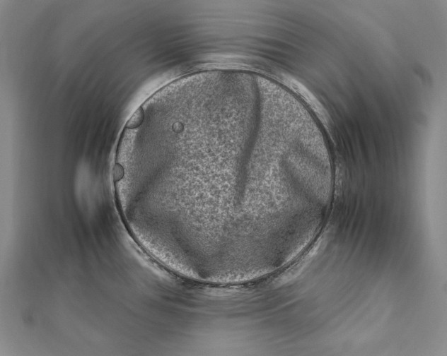 X0000112171386200908281330