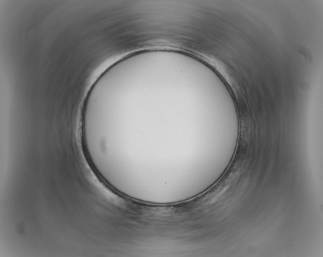 X0000112171387200908281330