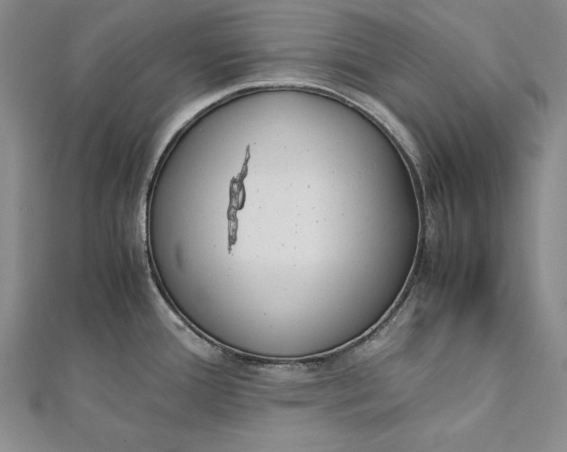 X0000112171388200908281330