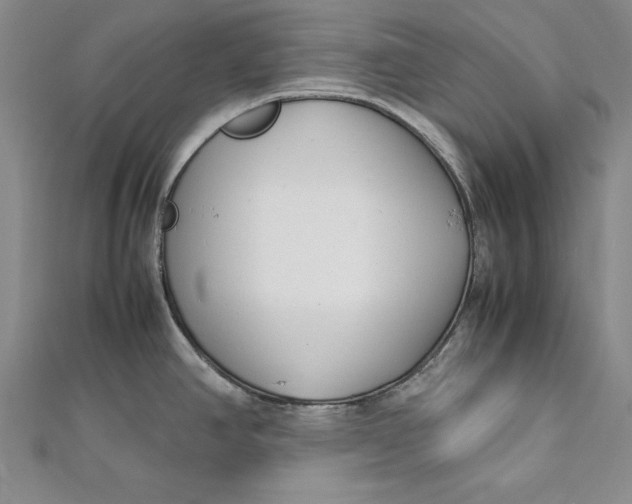 X0000112171390200908281330