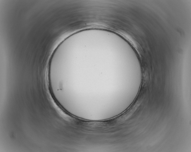 X0000112171391200908281330