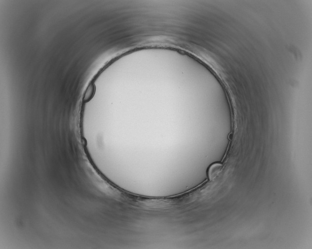 X0000112171392200908281330