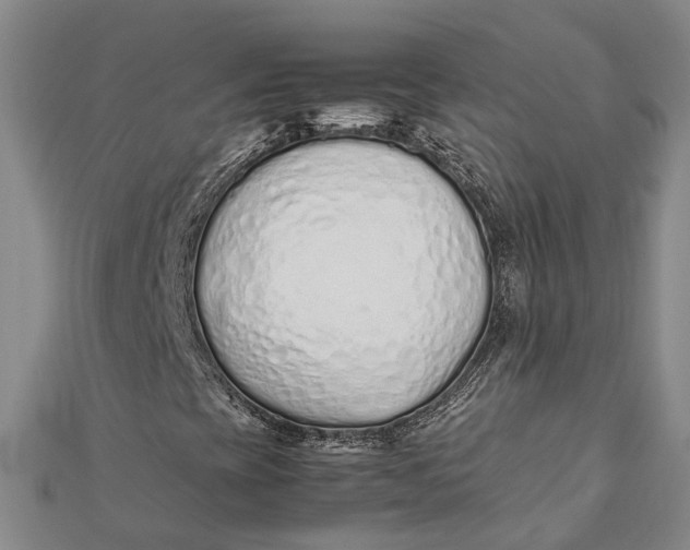 X0000112171393200908281329