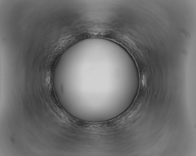 X0000112171396200908281329