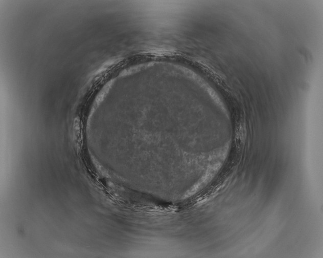 X0000112171398200908281329