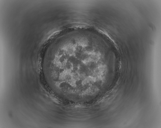 X0000112171399200908281329