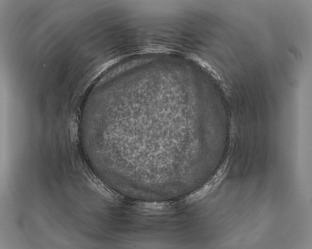 X0000112171401200908281329