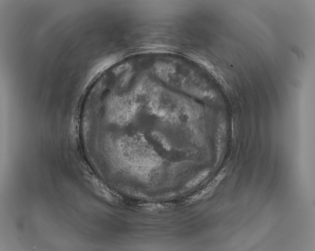 X0000112171405200908281329