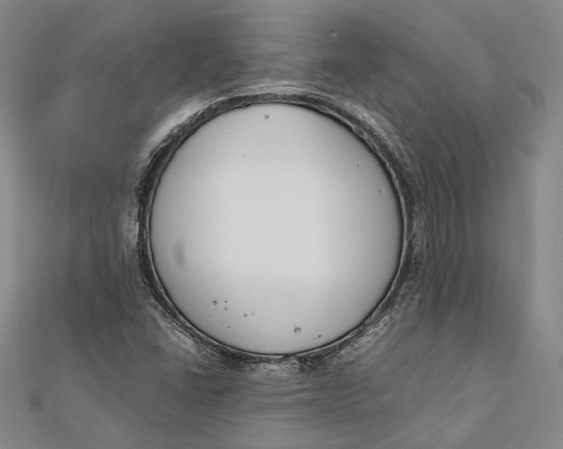 X0000112171406200908281329