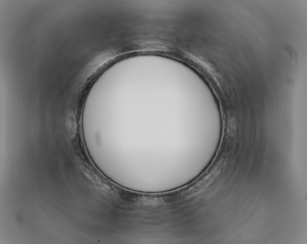 X0000112171407200908281329