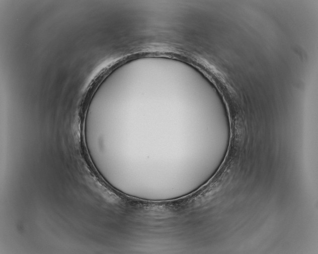 X0000112171408200908281330