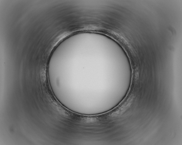 X0000112171409200908281330