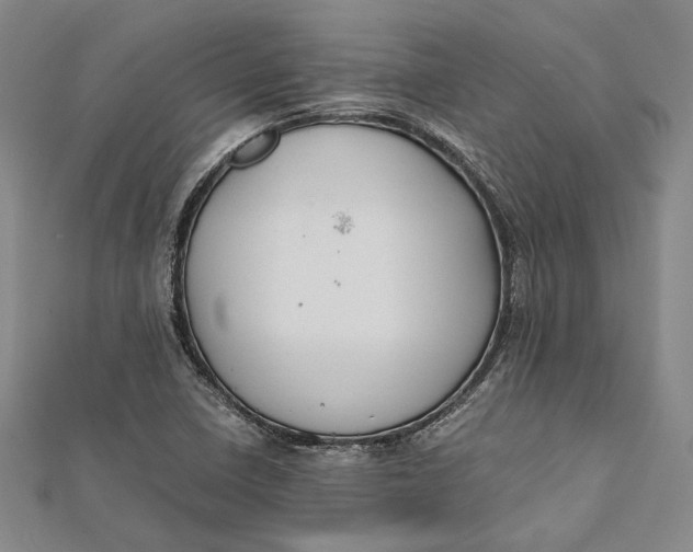 X0000112171410200908281330