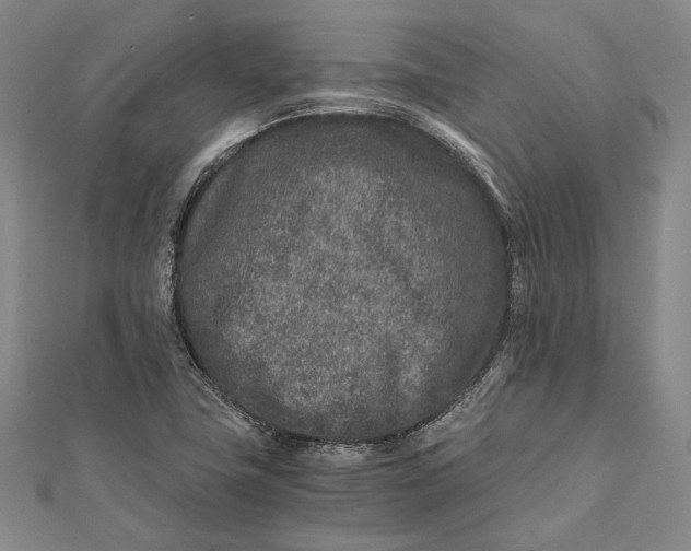 X0000112171411200908281330