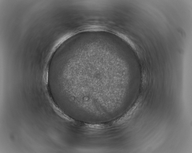 X0000112171413200908281330