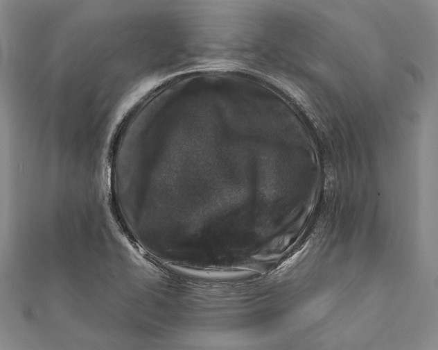 X0000112171414200908281330