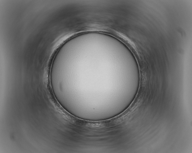 X0000112171415200908281330