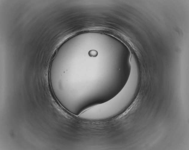 X0000112171417200908281330