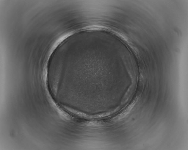 X0000112171418200908281330