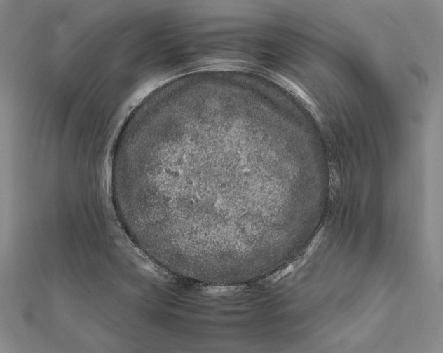 X0000112171419200908281330