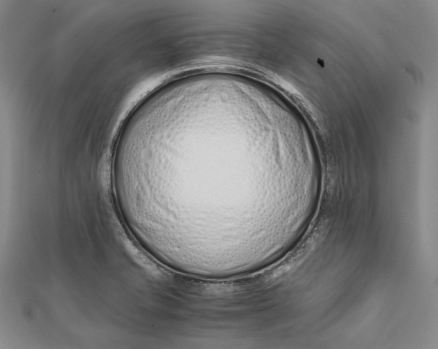 X0000112171421200908281330