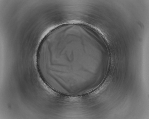 X0000112171422200908281330