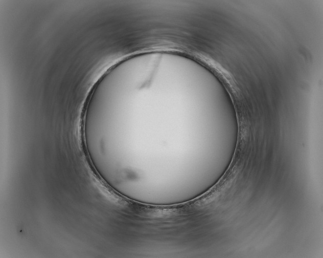 X0000112171423200908281330