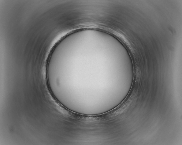 X0000112171424200908281330