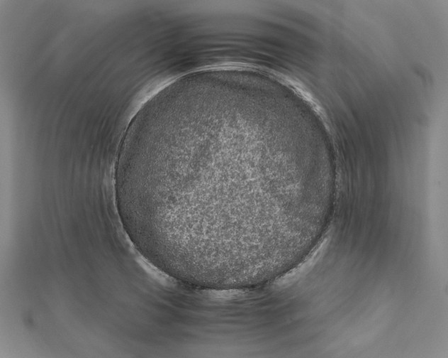 X0000112171425200908281330