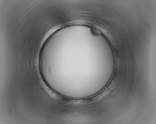 X0000112171426200908281330