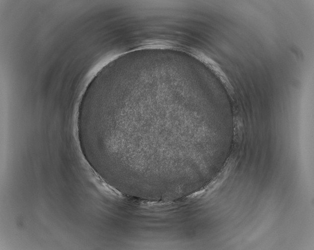 X0000112171427200908281330