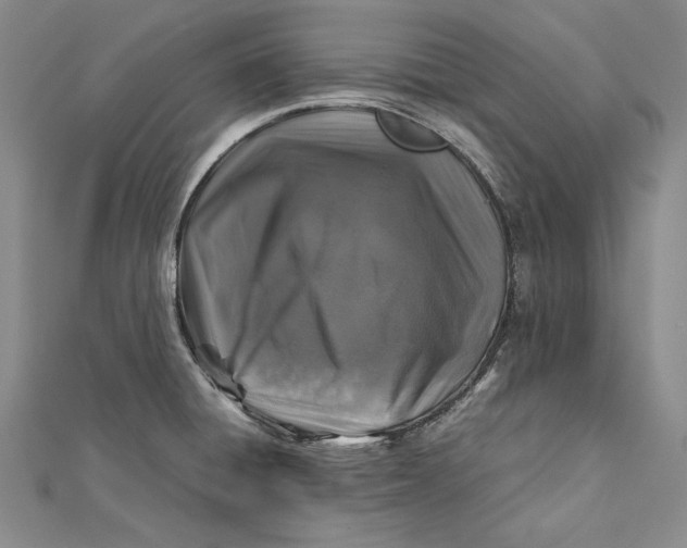 X0000112171428200908281330