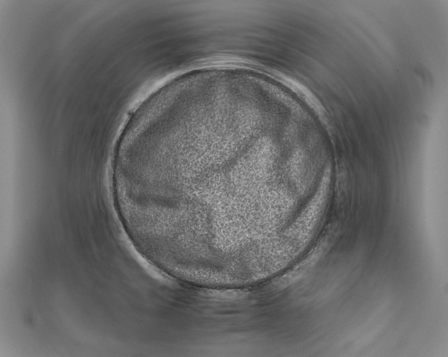 X0000112171429200908281330