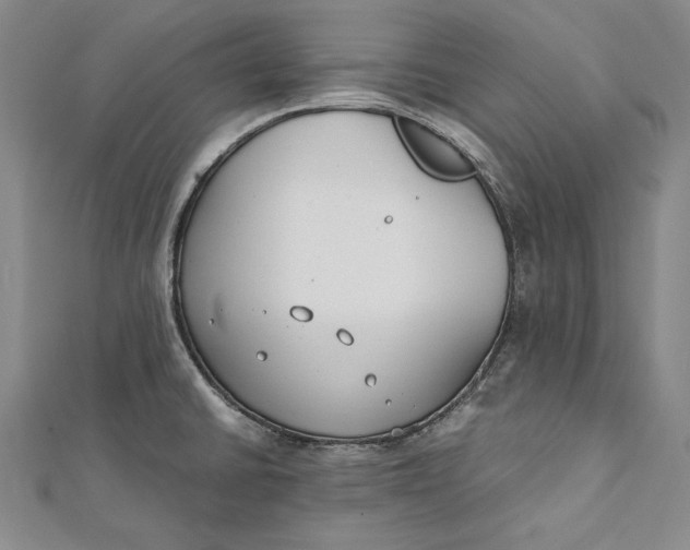 X0000112171430200908281330