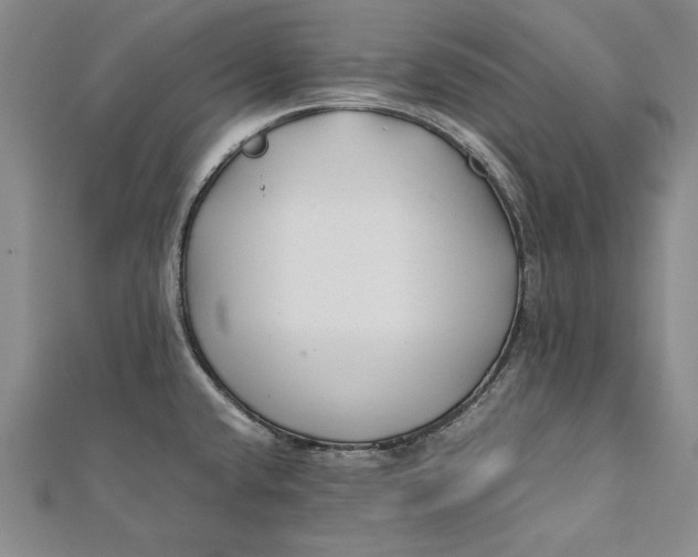 X0000112171432200908281330