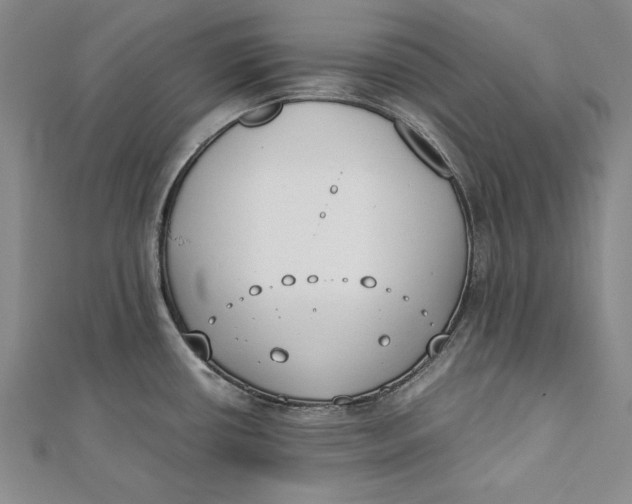 X0000112171434200908281330